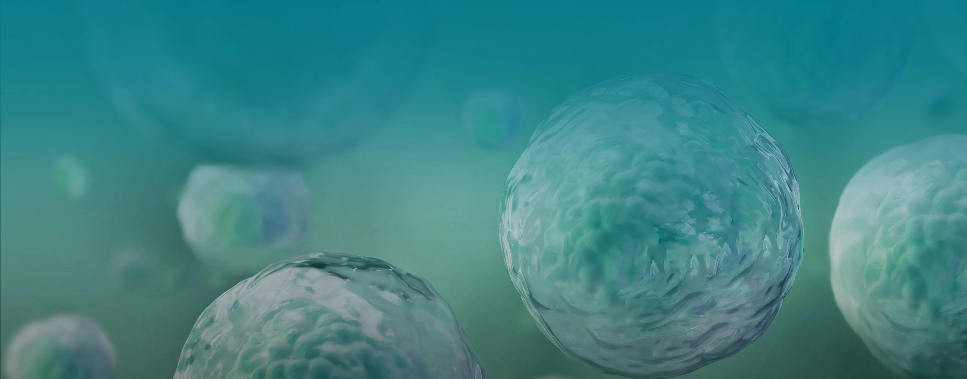 Organoid Events