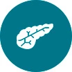 Pancreatic Organoids