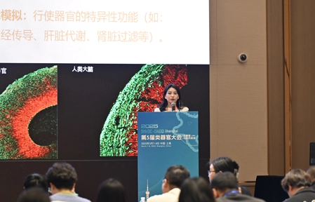 /uploads/image/20250313/Conference-Picture-22.webp