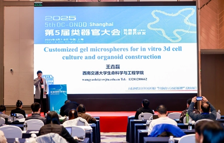 /uploads/image/20250313/Conference-Picture-23.webp