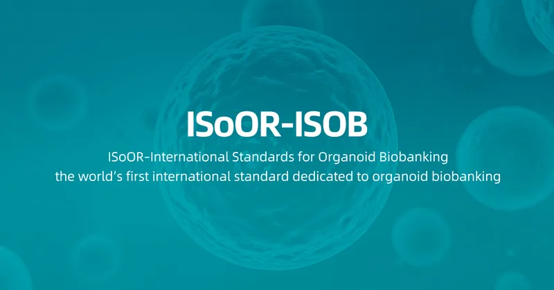 ISoOR-ISOB